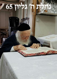 תמונה ממוזערת של אור מופלא